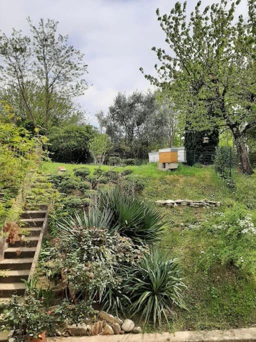 Le 16 Villa Toulouse Eksteriør billede
